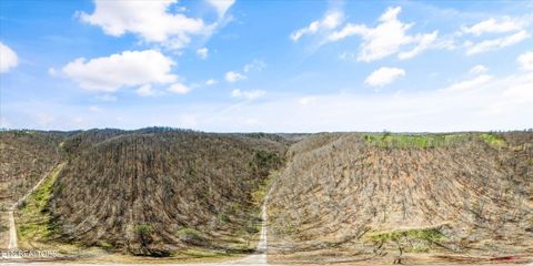 Tiny photo for 515 Robinson Rd, New Tazewell, TN 37825 (MLS # 1334595)