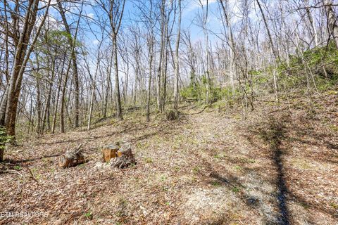 Tiny photo for 515 Robinson Rd, New Tazewell, TN 37825 (MLS # 1334595)