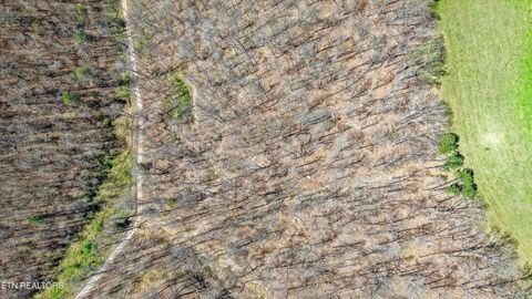 Tiny photo for 515 Robinson Rd, New Tazewell, TN 37825 (MLS # 1334595)