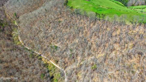 Tiny photo for 515 Robinson Rd, New Tazewell, TN 37825 (MLS # 1334595)