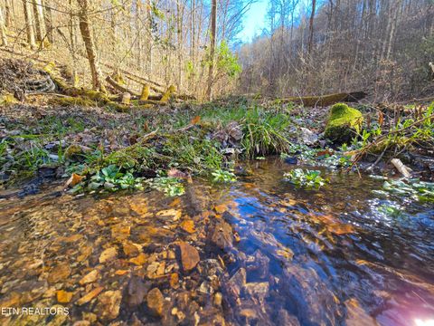 Tiny photo for 515 Robinson Rd, New Tazewell, TN 37825 (MLS # 1334595)