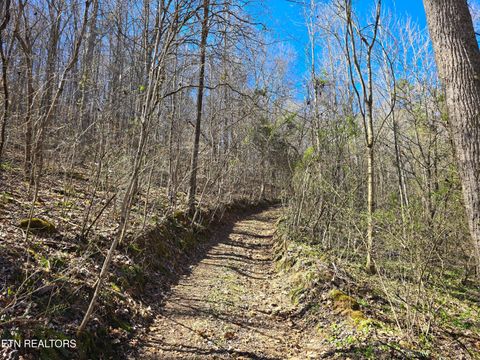 Tiny photo for 515 Robinson Rd, New Tazewell, TN 37825 (MLS # 1334595)