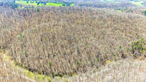 Tiny photo for 515 Robinson Rd, New Tazewell, TN 37825 (MLS # 1334595)