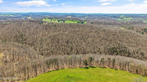 Tiny photo for 515 Robinson Rd, New Tazewell, TN 37825 (MLS # 1334595)