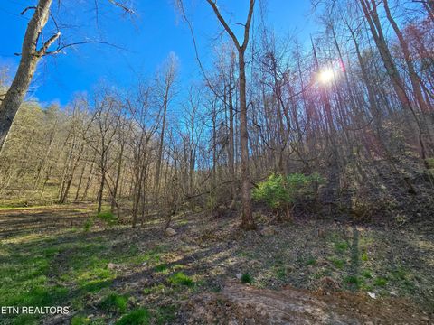 Tiny photo for 515 Robinson Rd, New Tazewell, TN 37825 (MLS # 1334595)