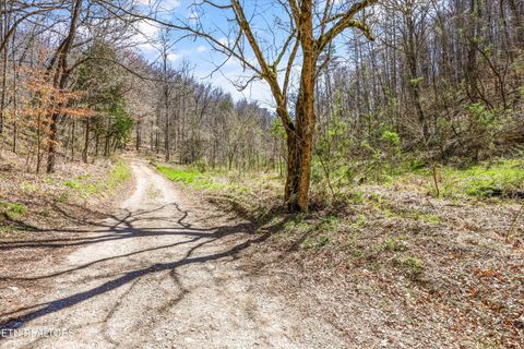 Tiny photo for 515 Robinson Rd, New Tazewell, TN 37825 (MLS # 1334595)