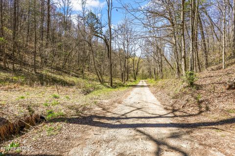 Tiny photo for 515 Robinson Rd, New Tazewell, TN 37825 (MLS # 1334595)