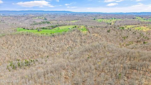 Tiny photo for 515 Robinson Rd, New Tazewell, TN 37825 (MLS # 1334595)