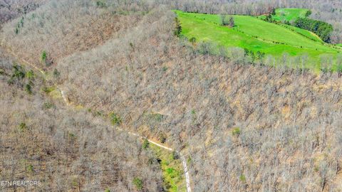 Tiny photo for 515 Robinson Rd, New Tazewell, TN 37825 (MLS # 1334595)