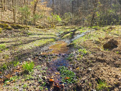 Tiny photo for 515 Robinson Rd, New Tazewell, TN 37825 (MLS # 1334595)