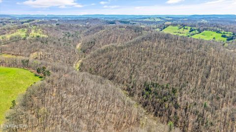 Tiny photo for 515 Robinson Rd, New Tazewell, TN 37825 (MLS # 1334595)