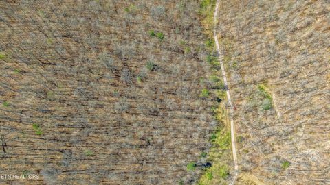 Tiny photo for 515 Robinson Rd, New Tazewell, TN 37825 (MLS # 1334595)