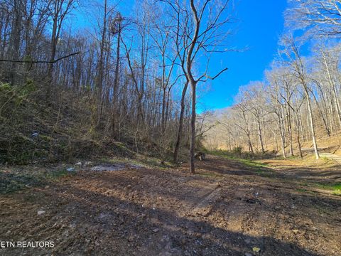 Tiny photo for 515 Robinson Rd, New Tazewell, TN 37825 (MLS # 1334595)