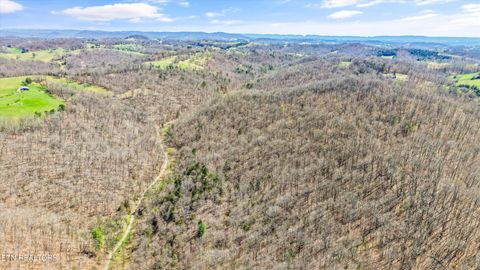 Tiny photo for 515 Robinson Rd, New Tazewell, TN 37825 (MLS # 1334595)
