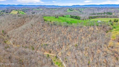Tiny photo for 515 Robinson Rd, New Tazewell, TN 37825 (MLS # 1334595)