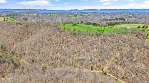 Tiny photo for 515 Robinson Rd, New Tazewell, TN 37825 (MLS # 1334595)
