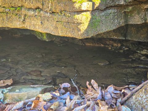 Tiny photo for 515 Robinson Rd, New Tazewell, TN 37825 (MLS # 1334595)