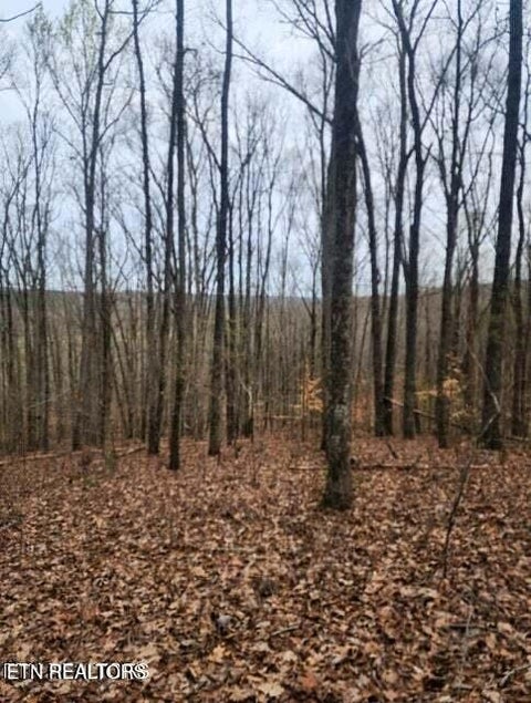 Tiny photo for Upper Concord Rd, Ten Mile, TN 37880 (MLS # 1342280)