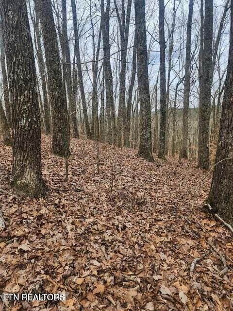 Tiny photo for Upper Concord Rd, Ten Mile, TN 37880 (MLS # 1342280)