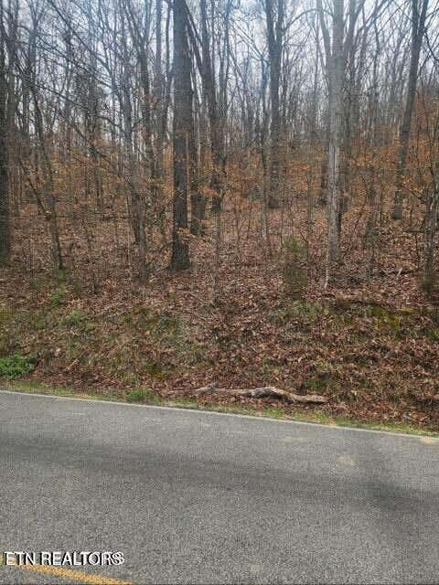 Tiny photo for Upper Concord Rd, Ten Mile, TN 37880 (MLS # 1342280)