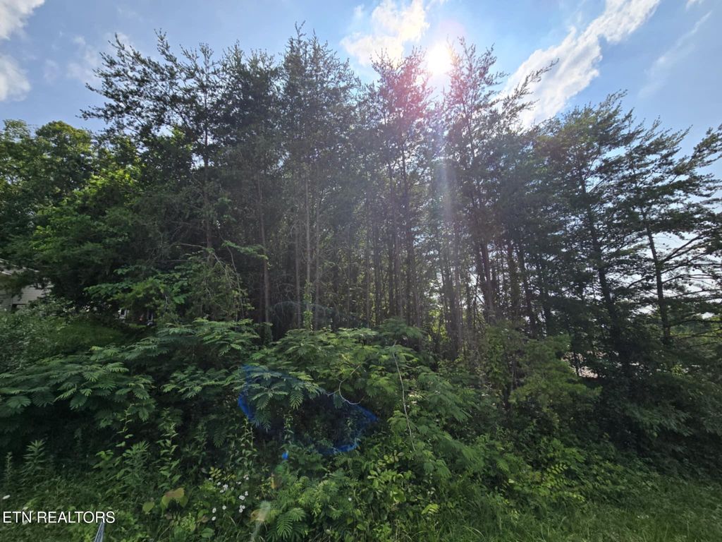 Photo of 1466 Dandelion Cir Circle, Morristown, TN 37814 (MLS # 1313313)