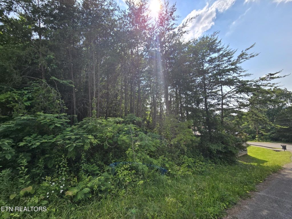 Photo of 1466 Dandelion Cir Circle, Morristown, TN 37814 (MLS # 1313313)