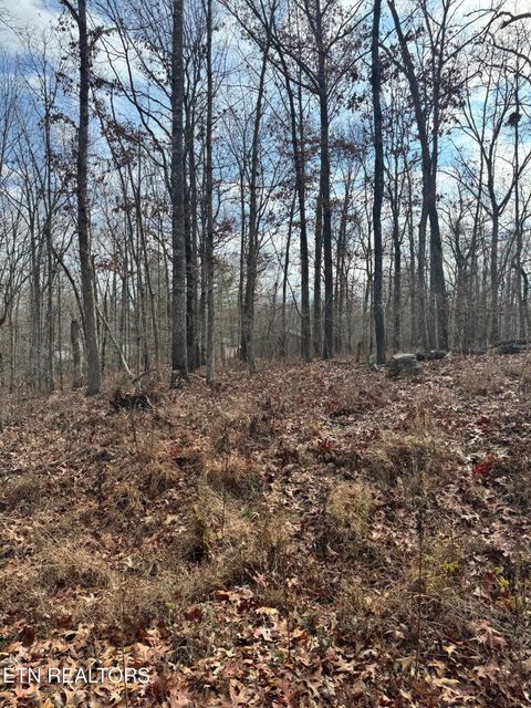 Featured picture for the property 1284131