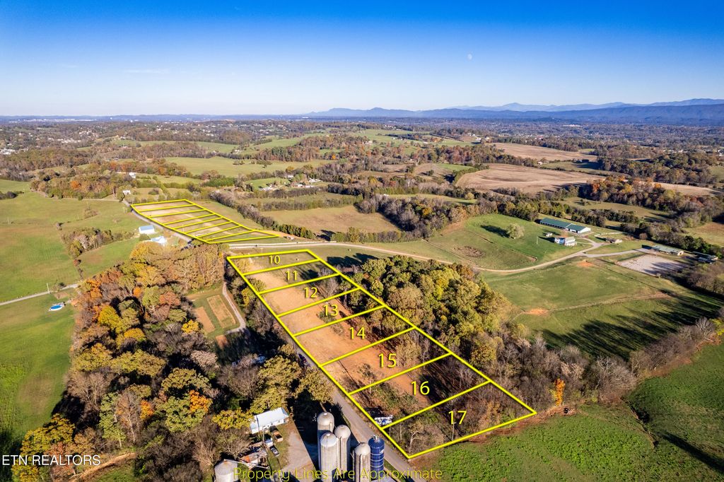 Photo of 415 Meadow Rd, Greenback, TN 37742 (MLS # 1284186)