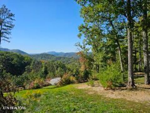 Lot 1-B Crown Circle Sevierville TN 37862