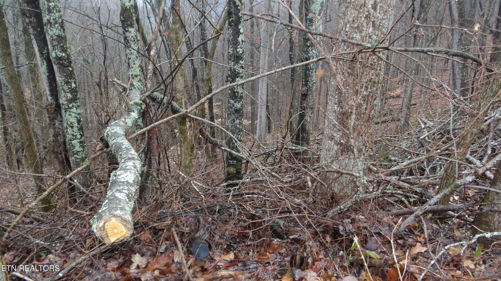 Photo of 1718 Savannah, Smithville, TN 37166 (MLS # 1331434)