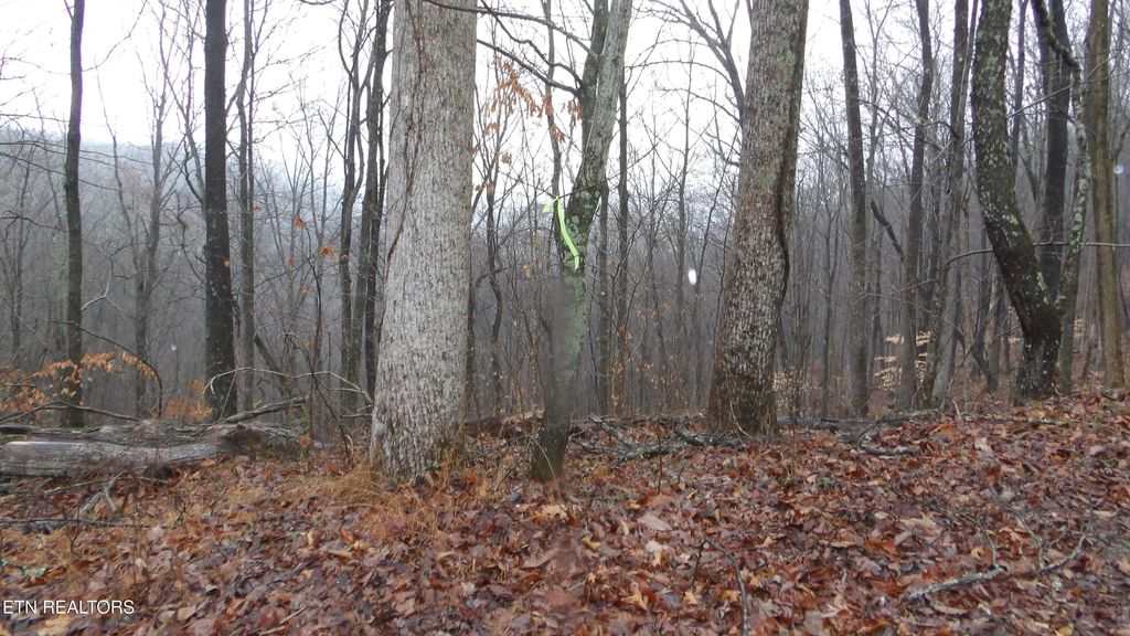 Photo of 1718 Savannah, Smithville, TN 37166 (MLS # 1331434)