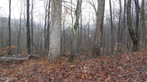 Lots 17&18 Savannah Smithville TN 37166