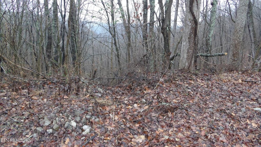 Photo of 1718 Savannah, Smithville, TN 37166 (MLS # 1331434)