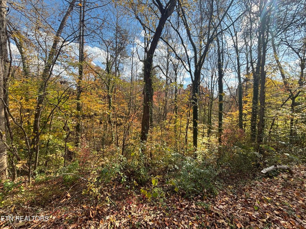 Photo of Pine Dr, Pigeon Forge, TN 37863 (MLS # 1325120)