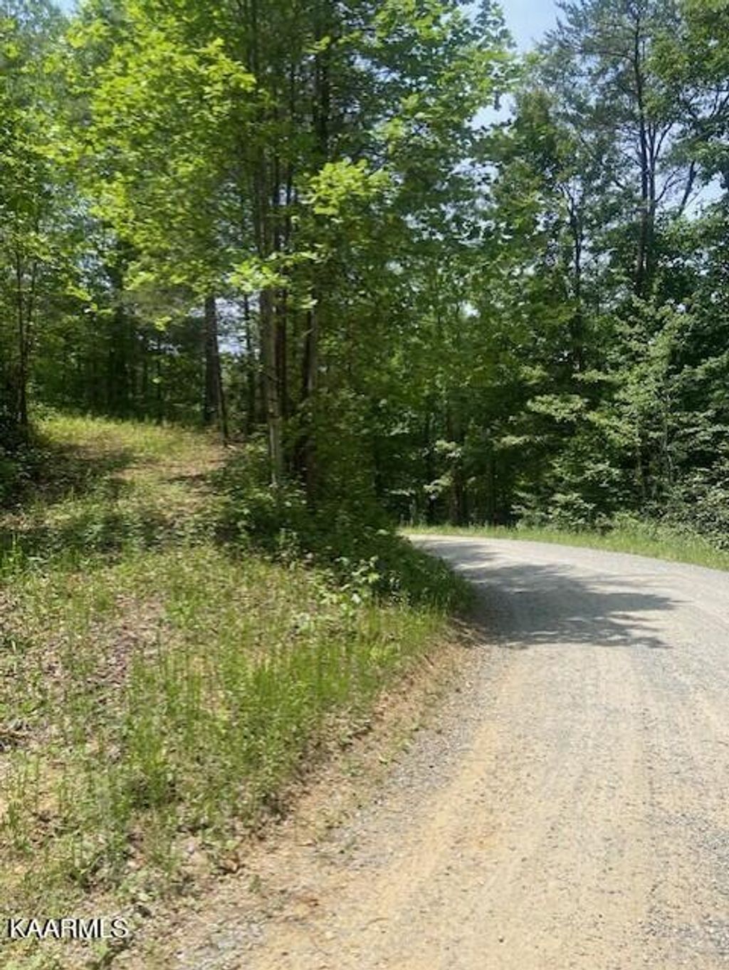 Photo of 2225 Chilhowee Loop Road Loop, Walland, TN 37886 (MLS # 1231198)