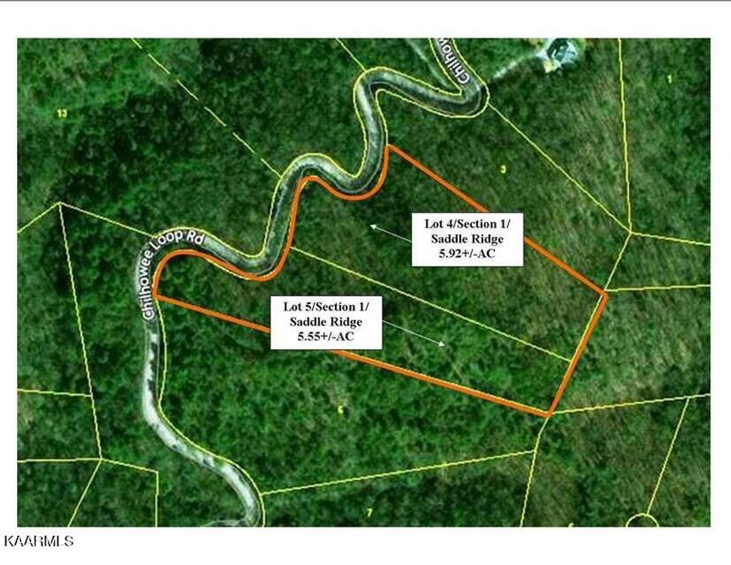 Photo of 2225 Chilhowee Loop Road Loop, Walland, TN 37886 (MLS # 1231198)