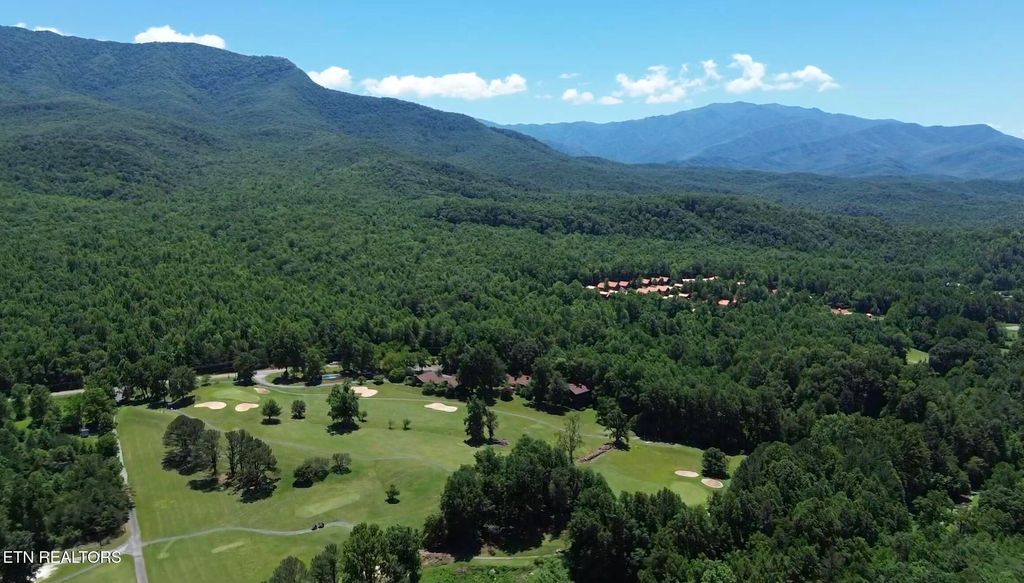 Photo of 3710 Weber Rd #UNIT 104-E, Gatlinburg, TN 37738 (MLS # 1341351)