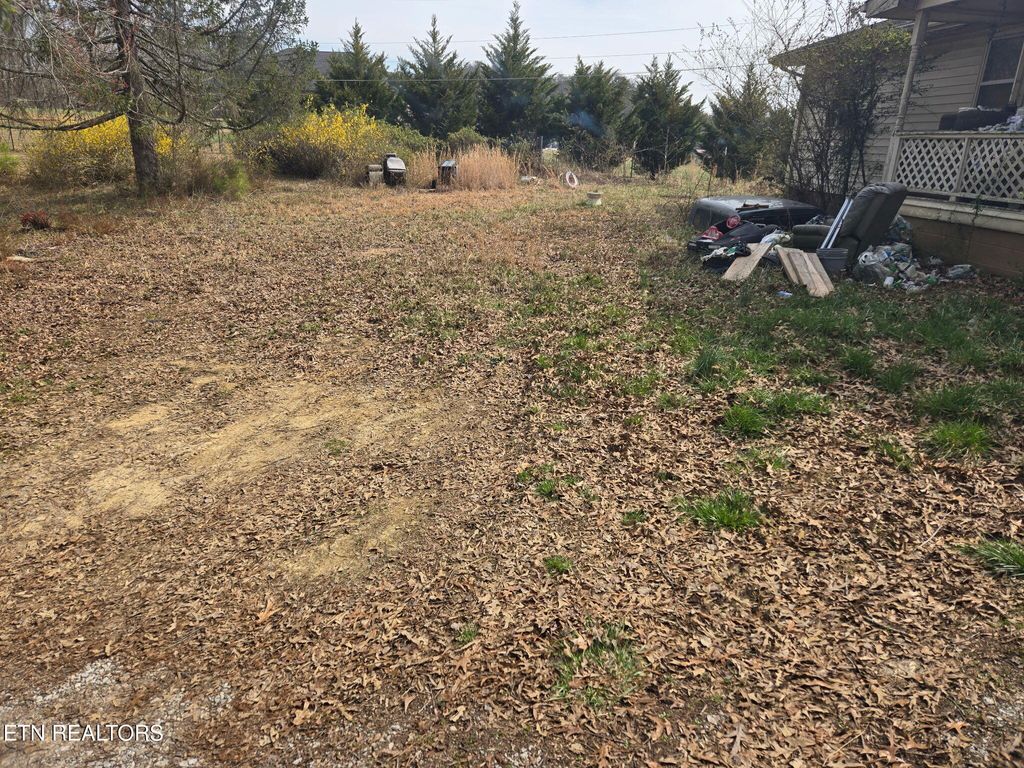 Photo of 9337 Strawberry Plains Pike, Strawberry Plains, TN 37871 (MLS # 1294375)