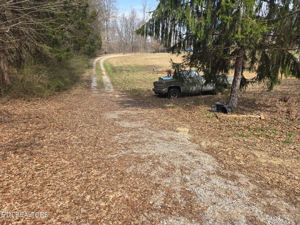 Photo of 9337 Strawberry Plains Pike, Strawberry Plains, TN 37871 (MLS # 1294375)