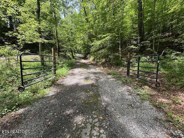 259 Watson Lane