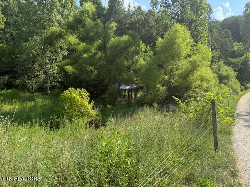 Photo of 0 London Way, Parrottsville, TN 37843 (MLS # 1302781)