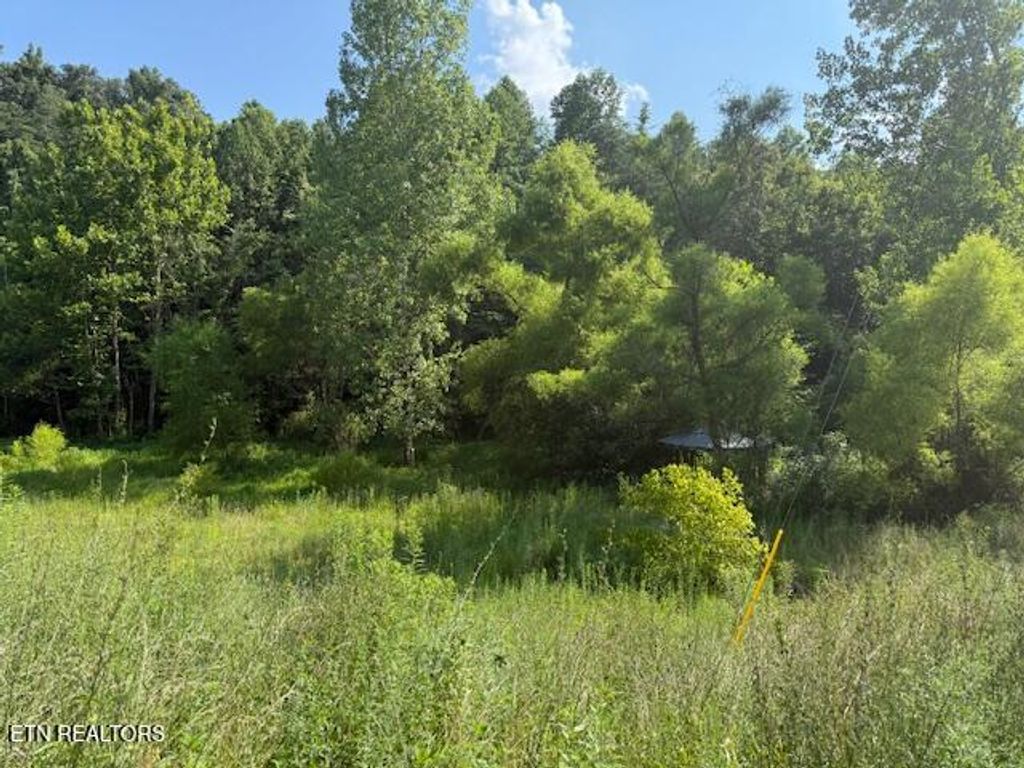 Photo of 0 London Way, Parrottsville, TN 37843 (MLS # 1302781)