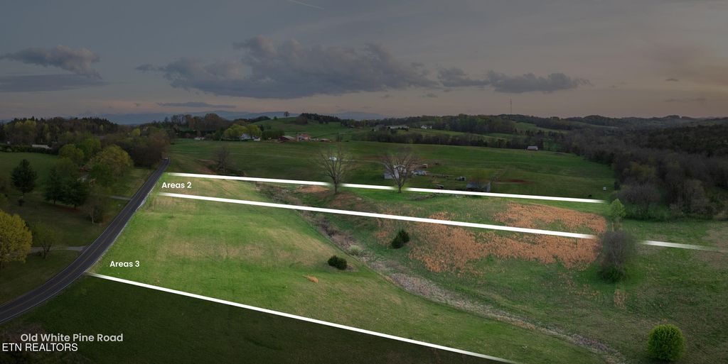 Photo of Old White Pine, 5.95 acres Rd, White Pine, TN 37890 (MLS # 1330926)