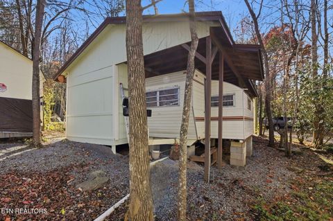 Tiny photo for 273 Harmony Way, Cosby, TN 37722 (MLS # 1321030)