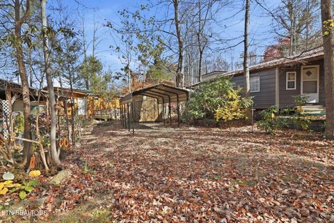 Tiny photo for 273 Harmony Way, Cosby, TN 37722 (MLS # 1321030)