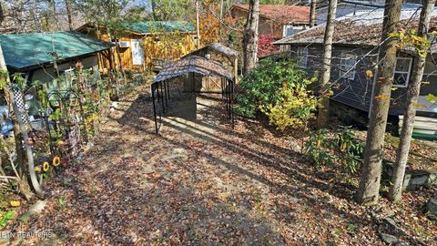 Tiny photo for 273 Harmony Way, Cosby, TN 37722 (MLS # 1321030)
