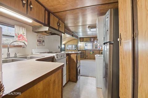 Tiny photo for 273 Harmony Way, Cosby, TN 37722 (MLS # 1321030)