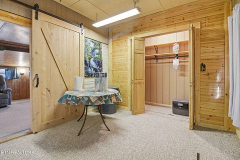 Tiny photo for 273 Harmony Way, Cosby, TN 37722 (MLS # 1321030)