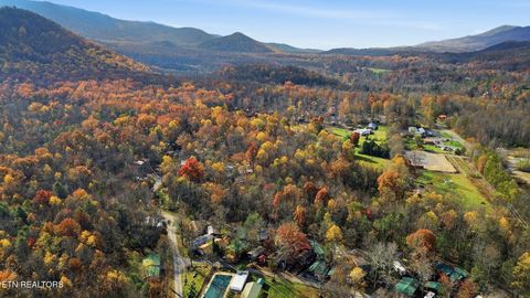 Tiny photo for 273 Harmony Way, Cosby, TN 37722 (MLS # 1321030)