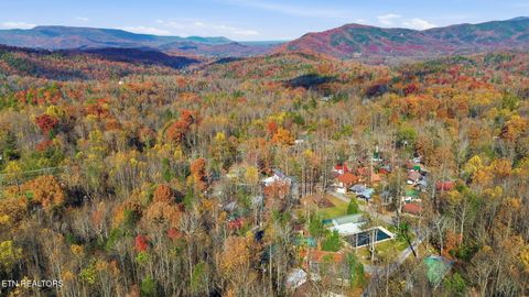 Tiny photo for 273 Harmony Way, Cosby, TN 37722 (MLS # 1321030)